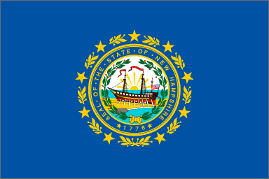 New Hampshire State Flag