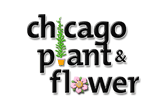 Chicago Plant and Flowers - TheChicagoAreaGuide.com